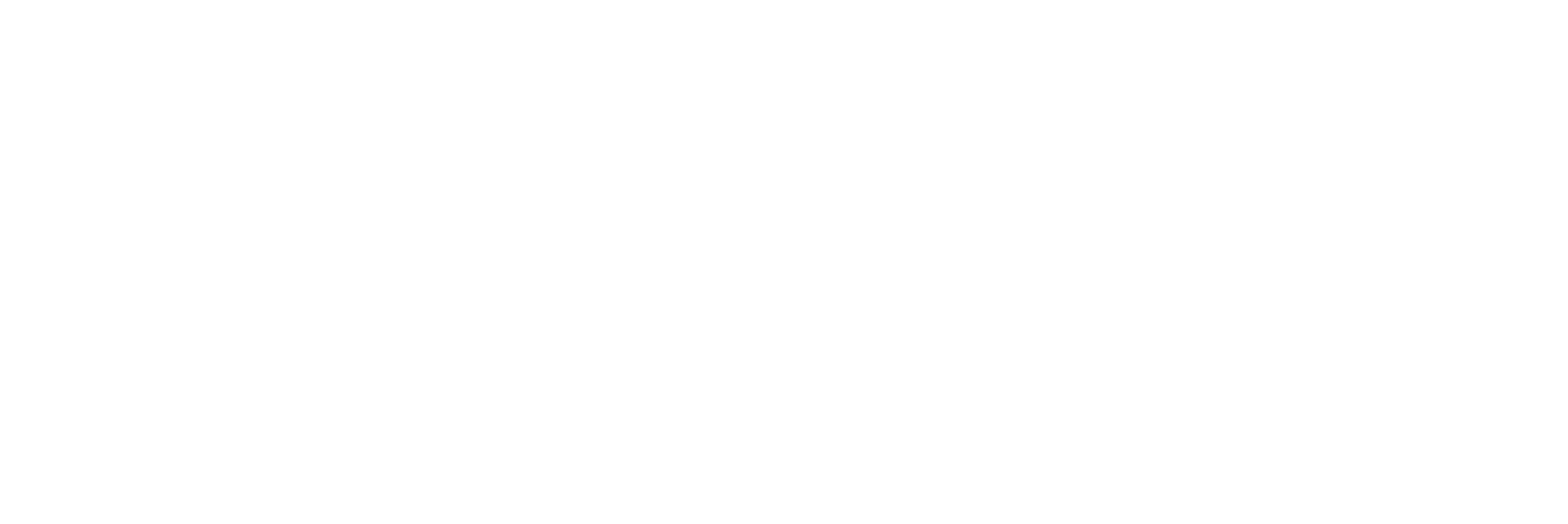VALMINT